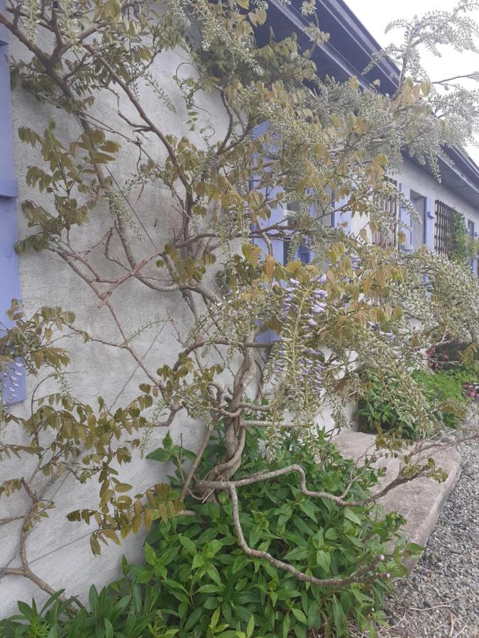 Escape To The Country Villa Westport Exterior photo